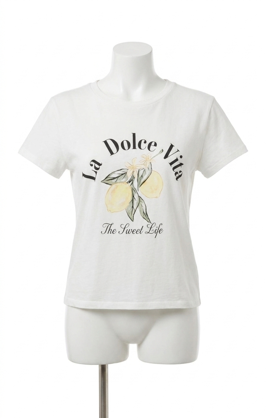 NEW Z SUPPLY dolce tourist tee in sea salt
